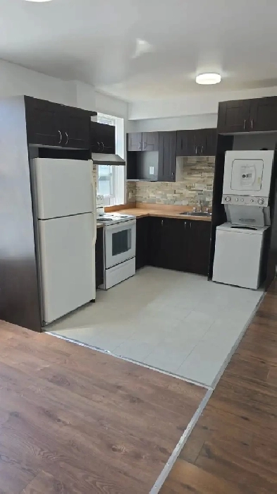 Bright & Spacious 4-Bedroom Apartment in the Heart of Montréal. Image# 5