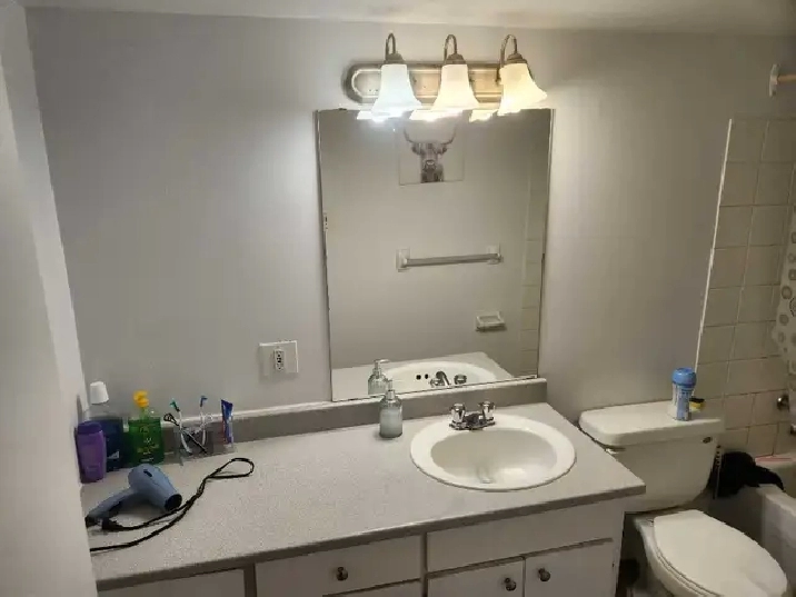 chambre à louer / recherche colocs