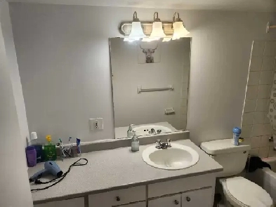 chambre à louer / recherche colocs