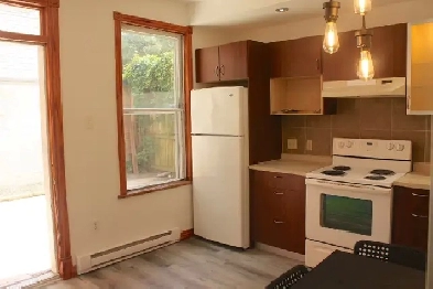 Joli 3 ½ au cœur du plateau a Louer Image# 4