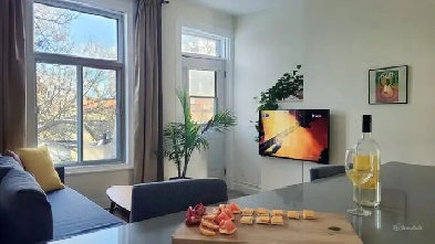 Super Suny TopFL downtown apt RenovatedFurnishedAll included