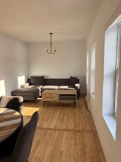 Superbe 3 1/2 rénové à neuf, meublé tout inclus LIBRE Image# 1