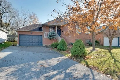 2 bedroom Lower level apartment $1700 Utilities included & WiFi Image# 1