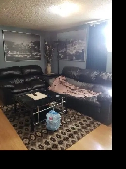 Single room for rent