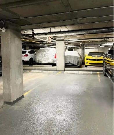 Luxury Furnished Bedroom for Females only-Heated Parking -Gym Image# 1