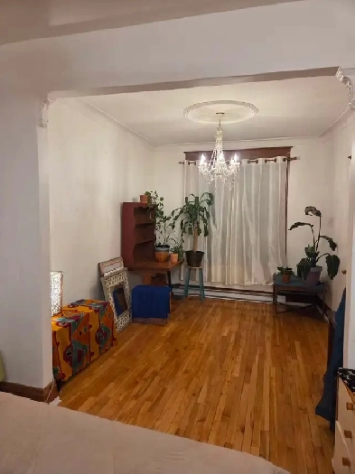 Villeray  1er mars 2026  4 12  louer  1565