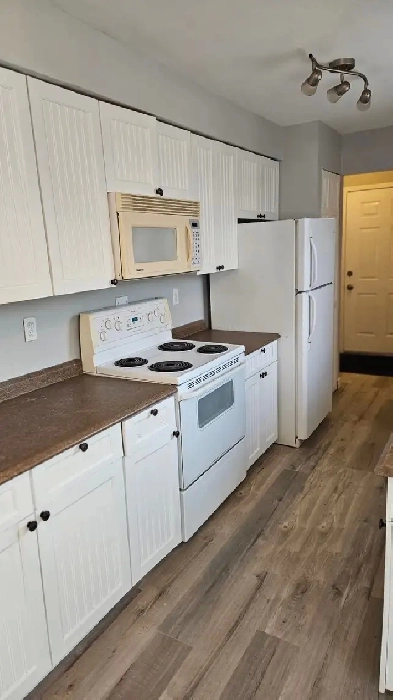 Spacious 3-Bed   Parking/Utilities/AC/Laundry Incl! (Guildwood) Image# 1