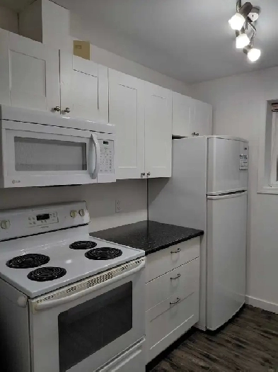 One bedroom Legal ground floor suite for rent March 1st, 2026 Image# 1