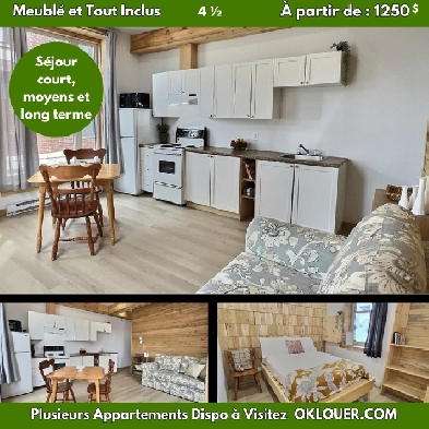 APPARTEMENT MEUBLÉ-TOUT INCLUS 2 CHAMBRES 4 1/2 CENTRE VILLE