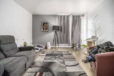 Appartement 4 ½ à louer Charlesbourg juillet 2026 Image# 1