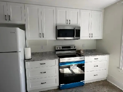 ATTENTION TRENT STUDENTS – 4 BEDROOM HOME DOWNTOWN! $775 Image# 1