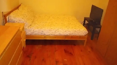 Nicely furnished room available Feb 1  female only