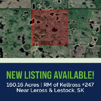 1 Quarter of Productive Farmland | Near Leross & Lestock, SK Image# 3