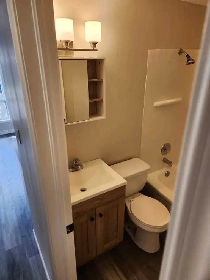 1 bedroom apt Orillia