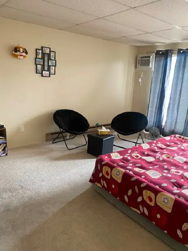 ✨ TOP FLOOR | 1-BEDROOM SUITE | CAT FRIENDLY ✨