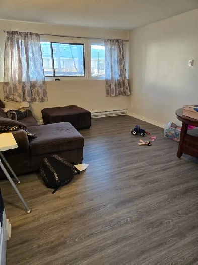 ✨ COZY • QUIET • PET-FRIENDLY ✨