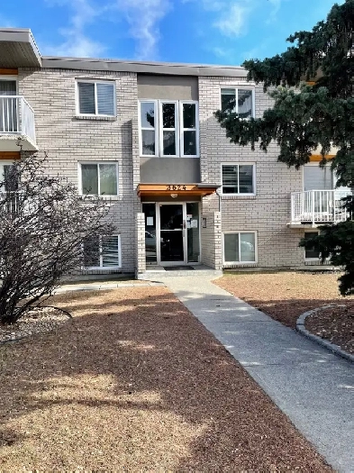 1 Bedroom Apartment for Rent Image# 1