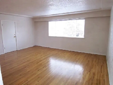 3-Bedroom Upper Suite Bright & Spacious – Prime Mount Pleasant Image# 1