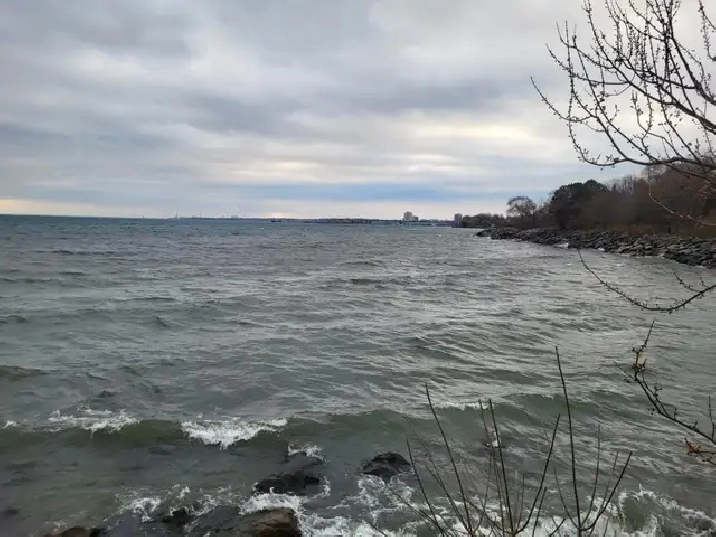 ~~ Port Credit Lakeshore area awesome basement! ~~