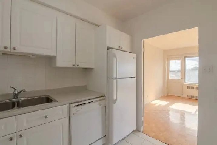 two bedroom two bathroom apartment near Concordia - ID 4374