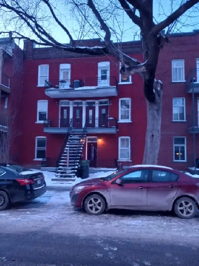 4 1/2 à louer Image# 1