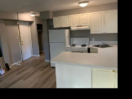 One B/R apartment for rent in Beltline (downtown) Image# 1