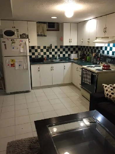 1 Bedroom Basement Apartment (Near Square One)