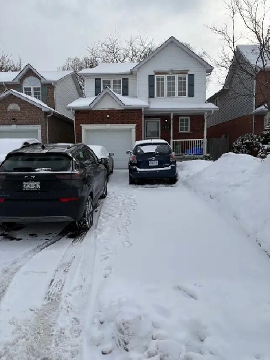 4 Bedroom house- 3 bedrooms available Image# 1