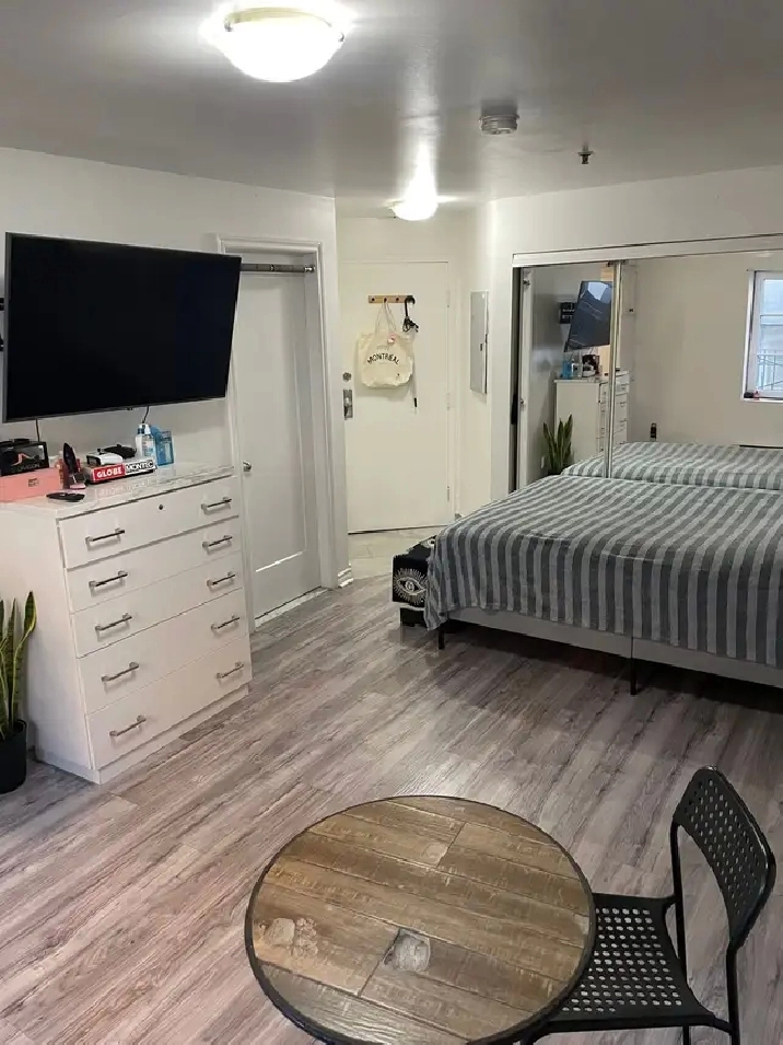 Downtown Metro Papineau renovated furnished studio with balcony