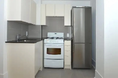 Renovated Bachelor, College and Spadina - ID 2222 Image# 1