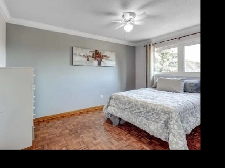 private room for rent girl Image# 1