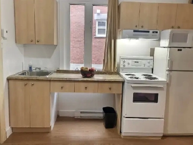 APPARTEMENTS - MEUBLÉ TOUT INCLUS 1 CHAMBRE 3 1/2 LIMOILOU Image# 1