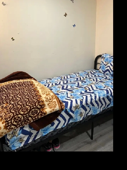 Private Furnished Basement Room only For Female.All Included$550 Image# 1