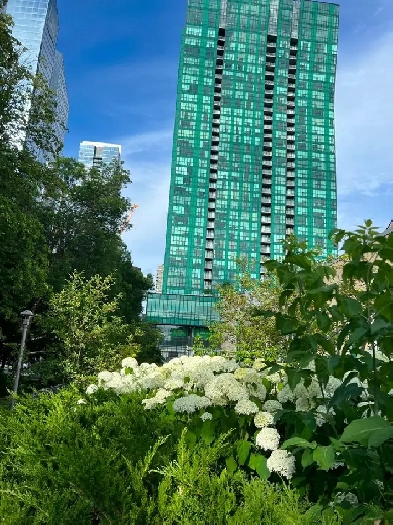 Private Room For Rent Image# 6