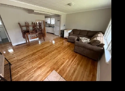 NEW 5-6 BEDROOM- CARLETON U - ALGONQUIN- CARLETON HEIGHTS- MAY 1 Image# 1