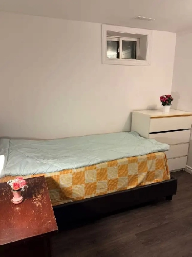 Private Room near Seneca College Image# 1