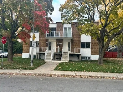 À LOUER – Studio 2 1/2 à St-Bruno-de-Montarville Image# 1