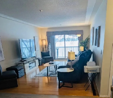 Fully Furnished 1100 sq Ft Condo Image# 9