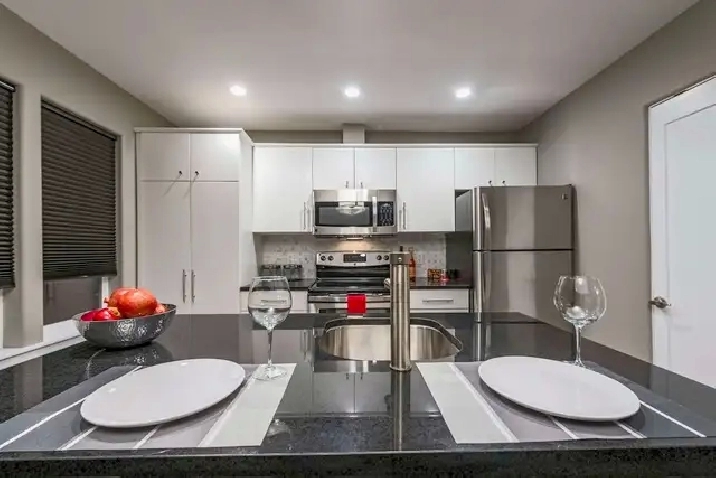 Executive Furnished 2 Bedroom Apartment for Rent