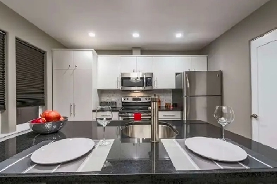 Executive Furnished 2 Bedroom Apartment for Rent