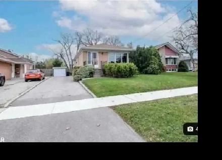 3 Bedroom hall Basement on Rexdale & Kipling  Etobicoke