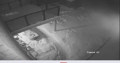 Walkout Basement for Rent – Humber West, Brampton Image# 1