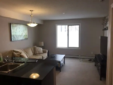2 bedroom condo SW Ellerslie Image# 3