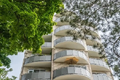 Renovated bachelor, High Park and Indian Road - ID 2641 Image# 1