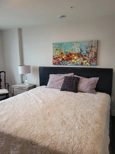 FEB1ST SHARE A SUITE HAVE YOUR OWN BDRM/BATH Image# 3