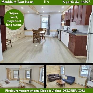 APPARTEMENT MEUBLÉ-TOUT INCLUS 3 CHAMBRES 5 1/2  -  CENTRE VILLE Image# 1