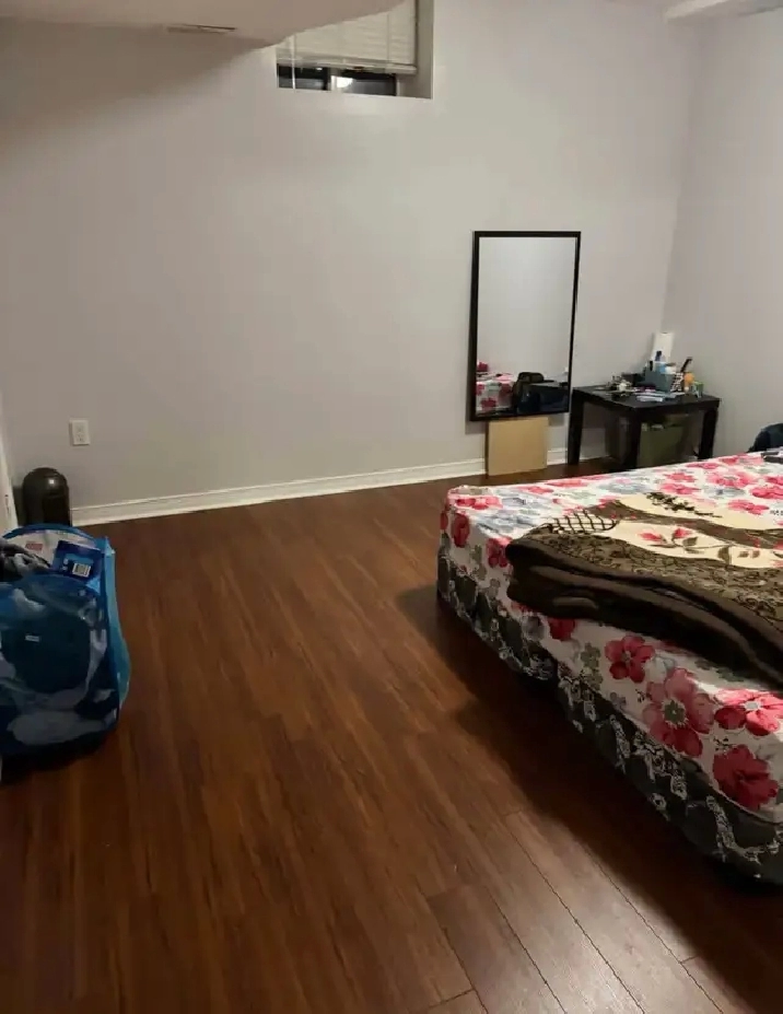 One room in 2 bedroom basement