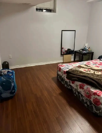 One room in 2 bedroom basement