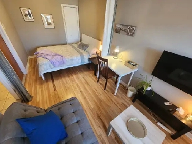 1 350$ Studio Métro Ligne Bleu. Image# 5