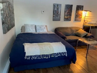 STUDIO-LOFT VIEUX-LONGUEUIL Image# 1